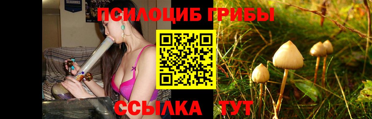 Псилоцибиновые грибы прущие грибы  Вход с VPN  Галлюциногенные грибы Psilocybe  Советск 